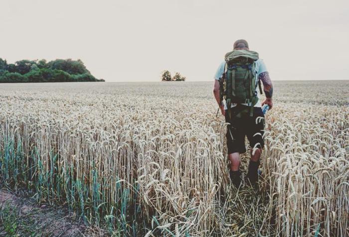 40628705_2230253633656321_1551153243113914368_n