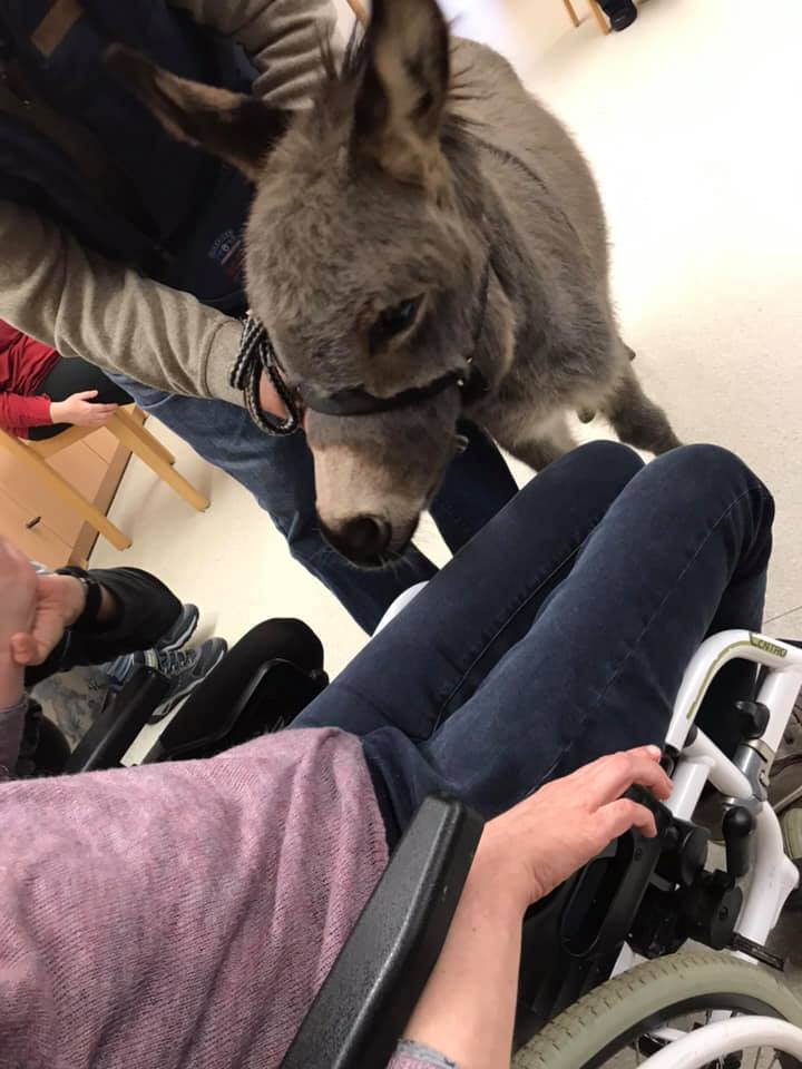 48382062_2369539396394410_2569751505259200512_n